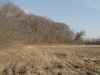 Map or photo for Fayette County, Illinois hunting lease property.