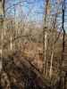 Map or photo for Fayette County, Illinois hunting lease property.