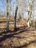 Map or photo for Fayette County, Illinois hunting lease property.