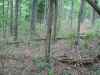 Map or photo for Switzerland County, Indiana hunting lease property.