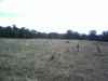 Map or photo for Christian County, Kentucky hunting lease property.