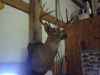 Map or photo for Christian County, Kentucky hunting lease property.