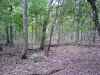 Map or photo for Christian County, Kentucky hunting lease property.