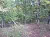 Map or photo for Christian County, Kentucky hunting lease property.
