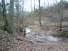 Map or photo for Washington County, Kentucky hunting lease property.