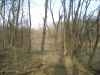 Map or photo for Sullivan County, Indiana hunting lease property.