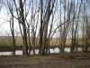 Map or photo for Sullivan County, Indiana hunting lease property.