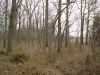 Map or photo for Wayne County, Illinois hunting lease property.
