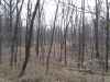 Map or photo for Wayne County, Illinois hunting lease property.