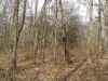 Map or photo for Wayne County, Illinois hunting lease property.