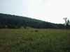 Map or photo for Centre County, Pennsylvania hunting lease property.