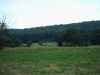 Map or photo for Centre County, Pennsylvania hunting lease property.