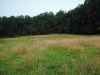 Map or photo for Centre County, Pennsylvania hunting lease property.