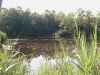 Map or photo for Vigo County, Indiana hunting lease property.
