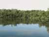 Map or photo for Vigo County, Indiana hunting lease property.