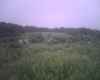 Map or photo for Clay County, Indiana hunting lease property.