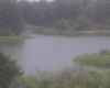Map or photo for Clay County, Indiana hunting lease property.