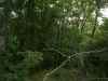 Map or photo for Livingston County, Missouri hunting lease property.