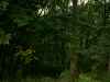Map or photo for Livingston County, Missouri hunting lease property.