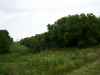 These power lines are so long two people could hunt them!
