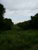 Power lines showing how far thru the woods lines travel
