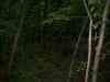 Map or photo for Livingston County, Missouri hunting lease property.
