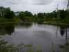 Picture of strip pit ponds that are on property