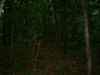 Map or photo for Livingston County, Missouri hunting lease property.