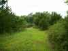 Map or photo for Livingston County, Missouri hunting lease property.