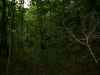 Map or photo for Livingston County, Missouri hunting lease property.