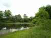 Second strip pit pond