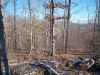 Map or photo for Madison County, Missouri hunting lease property.