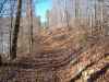 Map or photo for Madison County, Missouri hunting lease property.