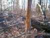 Map or photo for Madison County, Missouri hunting lease property.
