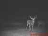 Map or photo for Union County, Kentucky hunting lease property.