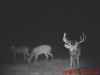 Map or photo for Union County, Kentucky hunting lease property.