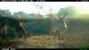 Map or photo for Union County, Kentucky hunting lease property.