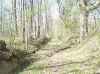 Old road running down east side of property line