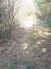Map or photo for Decatur County, Indiana hunting lease property.