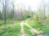 Map or photo for Decatur County, Indiana hunting lease property.