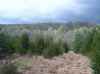 Map or photo for Jennings County, Indiana hunting lease property.