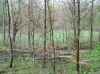Map or photo for Jennings County, Indiana hunting lease property.
