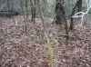 Map or photo for Jennings County, Indiana hunting lease property.