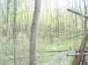 Map or photo for Jennings County, Indiana hunting lease property.