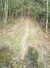 Map or photo for Jennings County, Indiana hunting lease property.