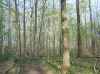 Map or photo for Jennings County, Indiana hunting lease property.