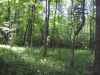 Map or photo for Jay County, Indiana hunting lease property.