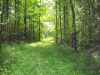 Map or photo for Jay County, Indiana hunting lease property.