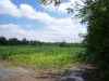 Map or photo for Jay County, Indiana hunting lease property.