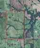 Good picture of property showing the three sections of trees / Corn to the north & south and beans to the east just off property.